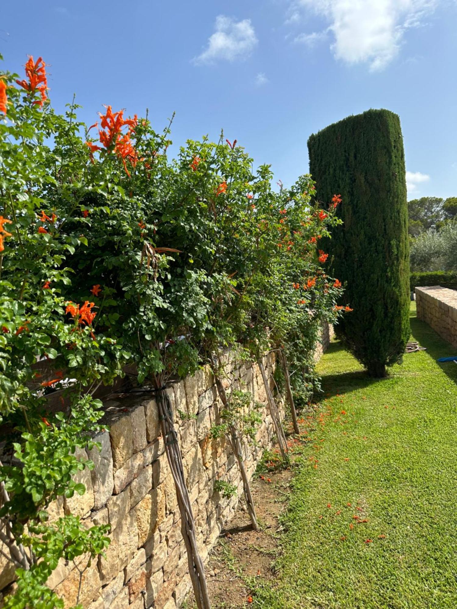 Villa Florence L'Ampolla Extérieur photo